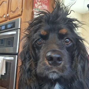 Meet your Posher, Becky